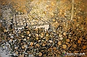 VBS_0943 - Renato Guttuso_-_L'Espressionismo Mediterraneo